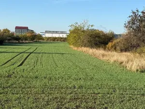 Prodej zahrady, Brno, 6418 m2