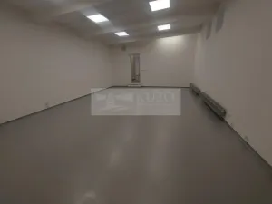 Pronájem obchodního prostoru, Praha, Na Březince, 182 m2
