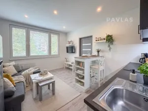 Prodej bytu 1+1, České Budějovice, Antala Staška, 42 m2