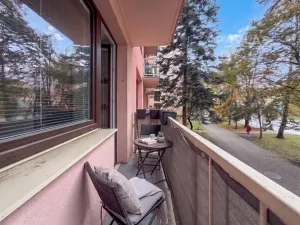 Prodej bytu 1+1, České Budějovice, Antala Staška, 42 m2