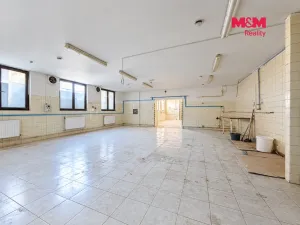Pronájem výrobních prostor, Neratovice, Mánesova, 235 m2