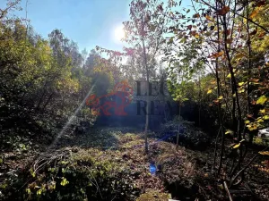 Prodej pozemku pro bydlení, Masojedy, 1619 m2