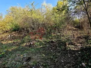 Prodej pozemku pro bydlení, Masojedy, 1619 m2