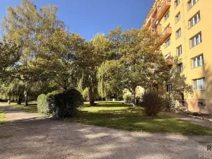 Prodej bytu 1+kk, Havířov, Karolíny Světlé, 22 m2