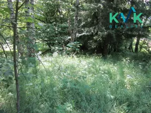 Prodej pozemku, Nejdek, 3489 m2