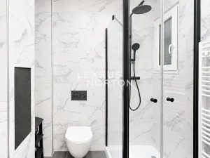 Pronájem bytu 1+kk, Praha - Vinohrady, Slezská, 24 m2