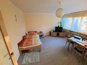 Prodej bytu 1+kk, Hradec Králové - Slezské Předměstí, Severní, 27 m2