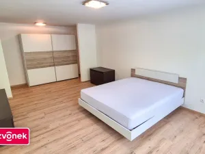Pronájem rodinného domu, Zlín, Na Výsluní, 270 m2