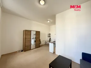 Pronájem bytu 1+kk, Brno - Zábrdovice, Koliště, 31 m2