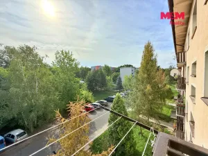 Pronájem bytu 1+1, Milovice - Mladá, Braniborská, 27 m2