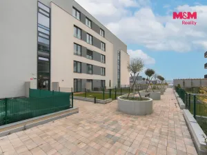 Prodej bytu 2+kk, Plzeň - Jižní Předměstí, Železná, 65 m2