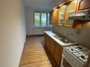 Prodej bytu 1+1, Sokolov, Švabinského, 49 m2