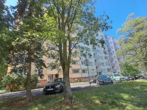 Prodej bytu 1+1, Sokolov, Švabinského, 49 m2