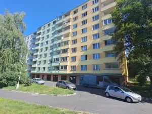 Prodej bytu 1+1, Sokolov, Švabinského, 49 m2