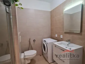 Pronájem bytu 1+kk, Opava - Předměstí, Provaznická, 35 m2