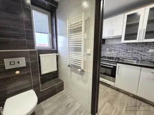 Pronájem bytu 2+kk, Březová, Okružní, 43 m2