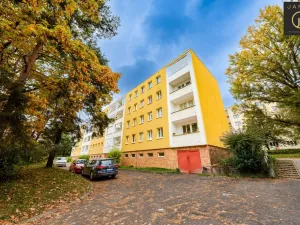 Prodej bytu 3+1, Kladno, Sportovců, 69 m2