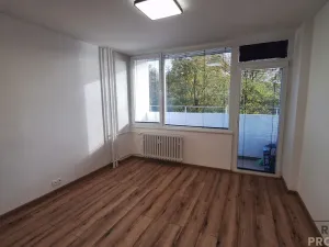 Pronájem bytu 1+kk, Ústí nad Labem, Hoření, 22 m2