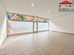 Pronájem obchodního prostoru, Brno, Rokytova, 80 m2