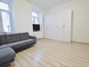 Pronájem bytu 1+kk, Brno - Zábrdovice, Vlhká, 27 m2