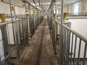 Prodej obchodního prostoru, Jindřichův Hradec, 9726 m2