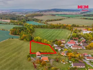 Prodej louky, Lužany - Zelené, 5700 m2