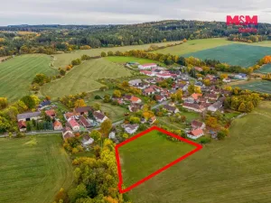 Prodej louky, Lužany - Zelené, 5700 m2