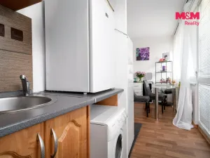 Prodej bytu 1+kk, Pardubice - Zelené Předměstí, Palackého třída, 31 m2