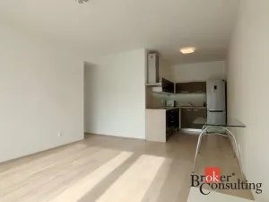 Prodej bytu 2+kk, Plzeň - Severní Předměstí, Na Chmelnicích, 59 m2