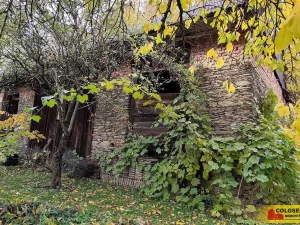 Prodej rodinného domu, Dzbel, 360 m2