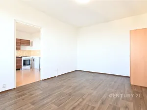 Pronájem bytu 1+1, Litvínov - Horní Litvínov, Tylova, 35 m2