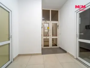 Pronájem obchodního prostoru, Plzeň - Jižní Předměstí, Tylova, 36 m2