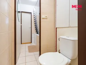 Prodej bytu 2+1, České Budějovice - České Budějovice 3, Plzeňská, 65 m2