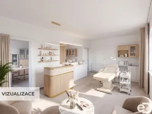 Prodej rodinného domu, Velké Přílepy, Emy Destinnové, 240 m2