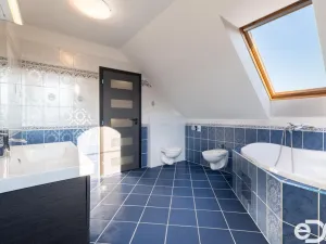 Prodej rodinného domu, Velké Přílepy, Emy Destinnové, 240 m2