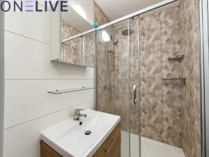 Pronájem bytu 1+1, Plzeň, Strážnická, 39 m2