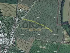 Prodej podílu pole, Morkovice-Slížany, 1886 m2