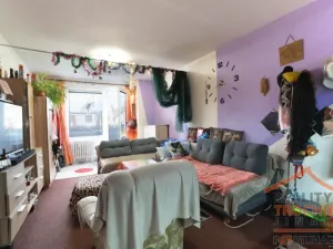 Prodej bytu 1+kk, Pardubice, Trnovská, 30 m2