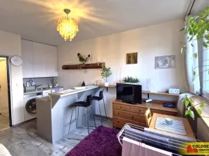 Prodej bytu 1+kk, Brno - Lesná, 23 m2