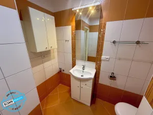Pronájem bytu 1+1, Opava, Šrámkova, 38 m2