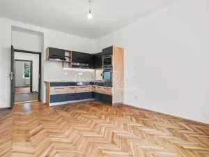 Pronájem bytu 2+kk, Praha - Nusle, Ctiradova, 48 m2