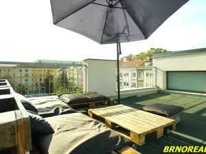Pronájem bytu 1+kk, Brno, Vodní, 20 m2