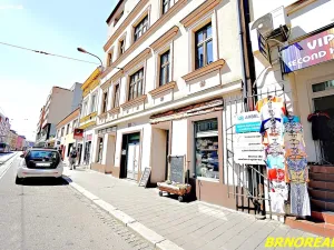 Pronájem bytu 1+kk, Brno, Vodní, 20 m2
