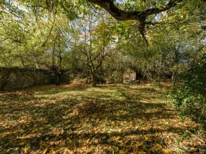 Prodej rodinného domu, Dražíč, 180 m2