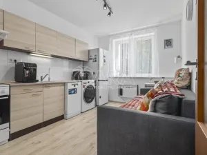 Prodej bytu 1+1, Červené Pečky, V Cihelně, 35 m2