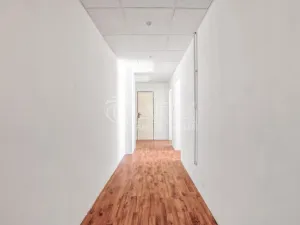 Prodej rodinného domu, Bílovec, Nad přehradou, 230 m2