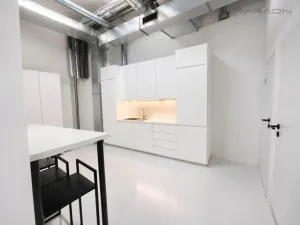 Pronájem obchodního prostoru, Praha - Nusle, Bartoškova, 365 m2