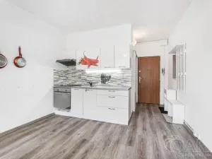 Prodej bytu 1+1, Ústí nad Labem - Severní Terasa, Šípková, 33 m2