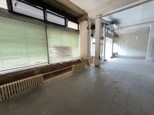 Pronájem obchodního prostoru, Ústí nad Labem, Masarykova, 141 m2