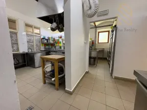 Pronájem restaurace, Žižice - Luníkov, 250 m2
